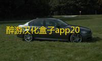 醉游汉化盒子app2022(醉游助手)下载安卓下载安装